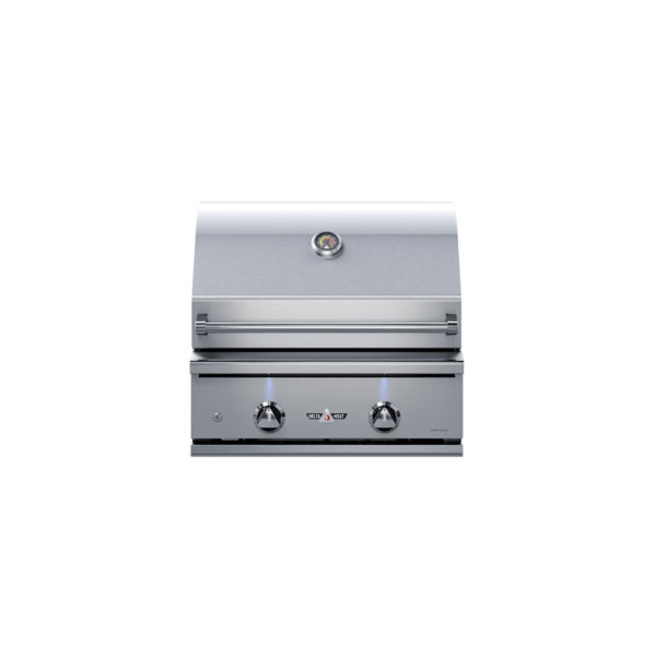 Delta Heat 26" 2-Burner Built-In Gas Outdoor Grill