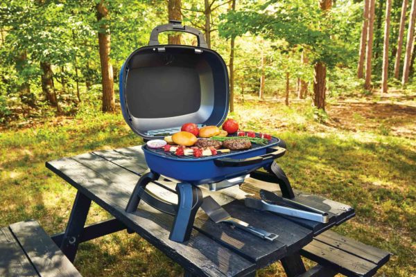 Napoleon TravelQ™ 240 Portable Gas Grill Lifestyle