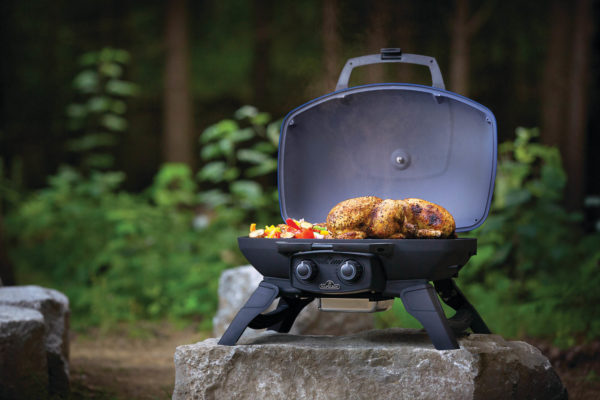 Napoleon TravelQ™ 285 Portable Propane Gas Grill Lifestyle