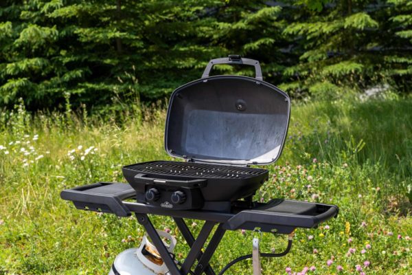 Napoleon TravelQ™ PRO Portable Grills Series - Lifestyle