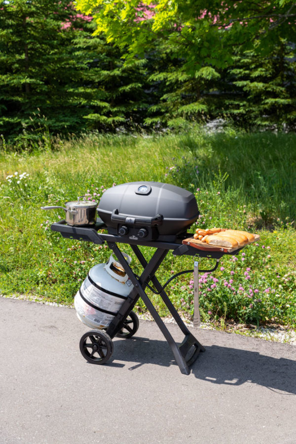 Napoleon TravelQ™ PRO Portable Grills Series - Lifestyle