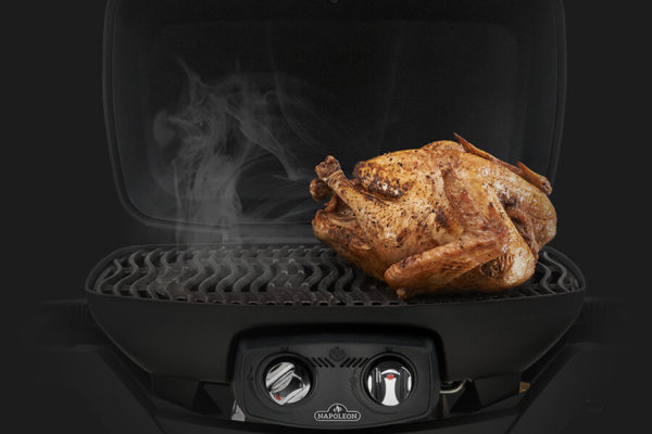Napoleon TravelQ™ Series Portable Gas Grill Features - High Top Lid