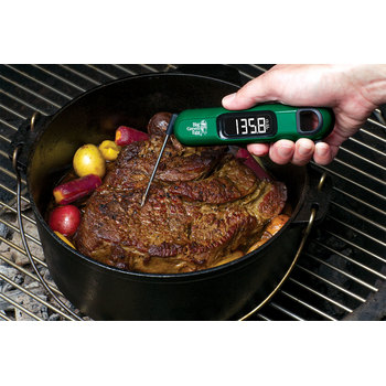 Thermometer in Roast